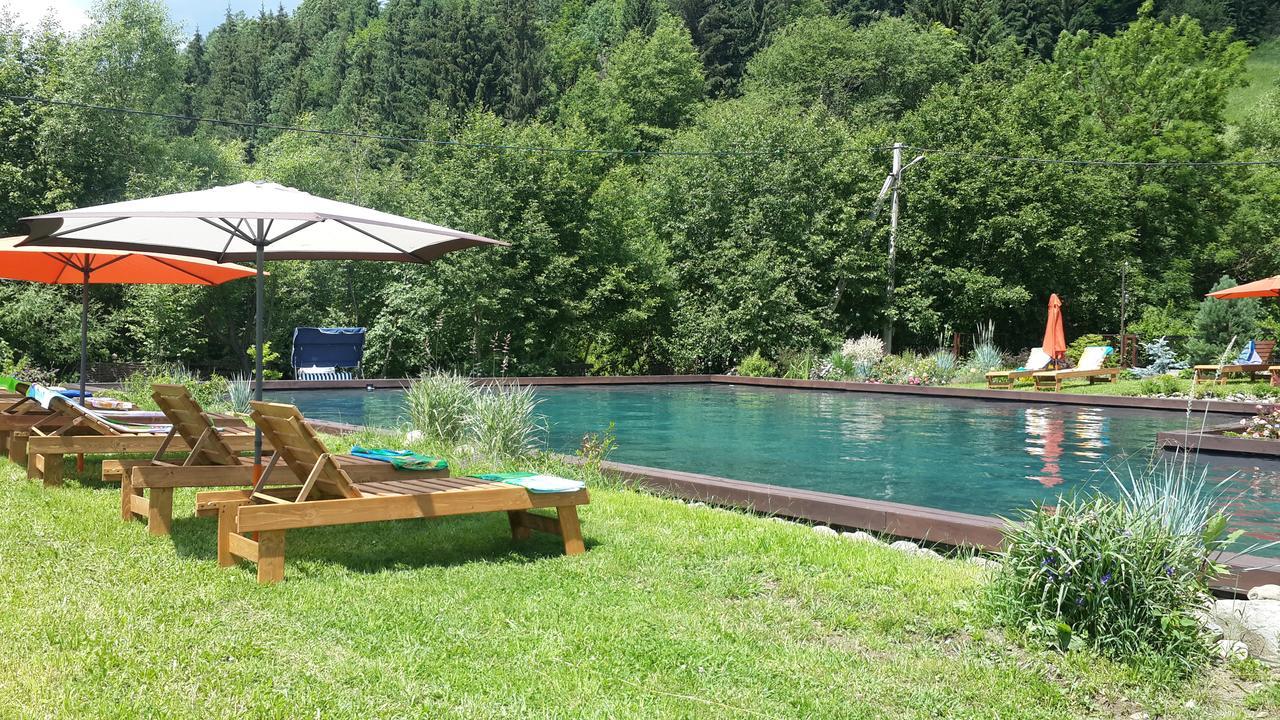 Gallery Of Mountains Holiday Home Yasinya Kamer foto