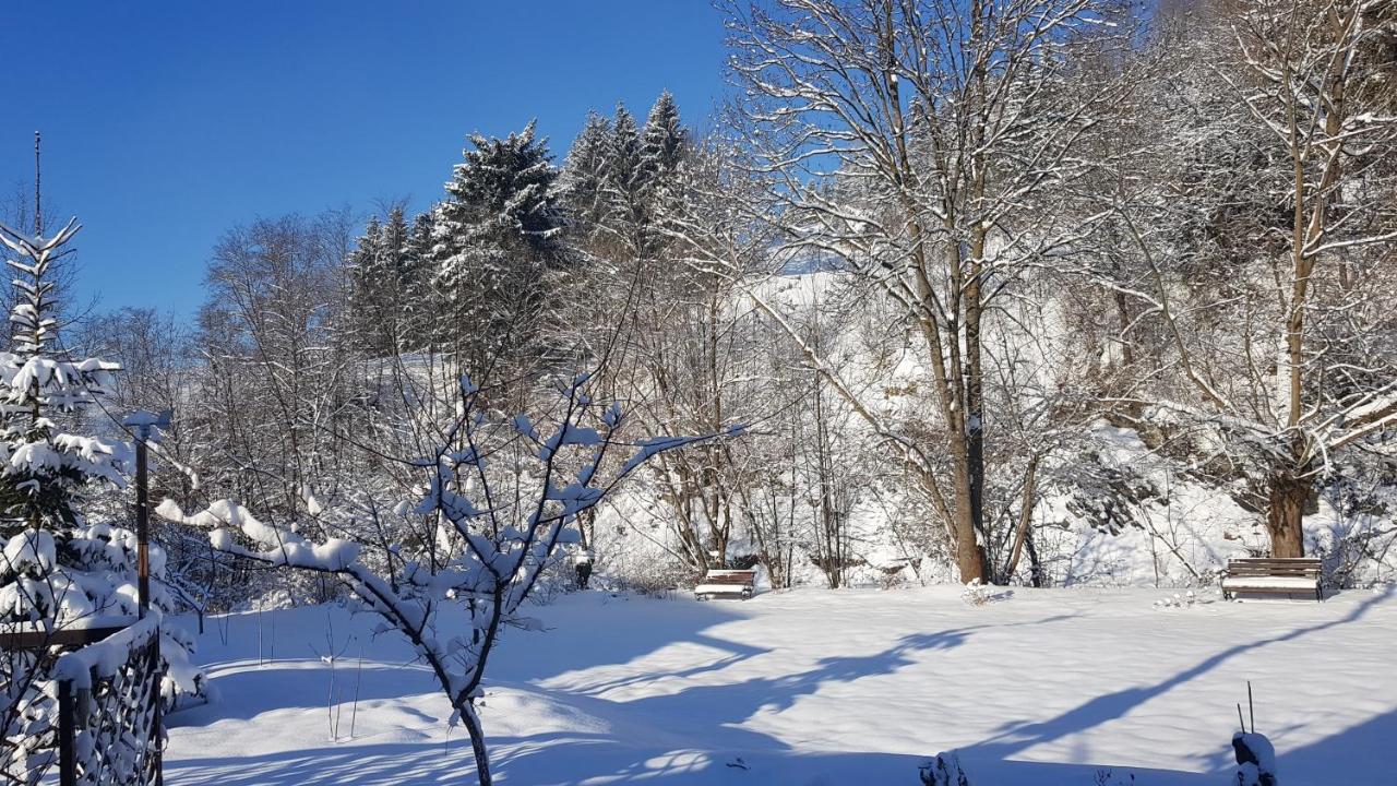 Gallery Of Mountains Holiday Home Yasinya Buitenkant foto