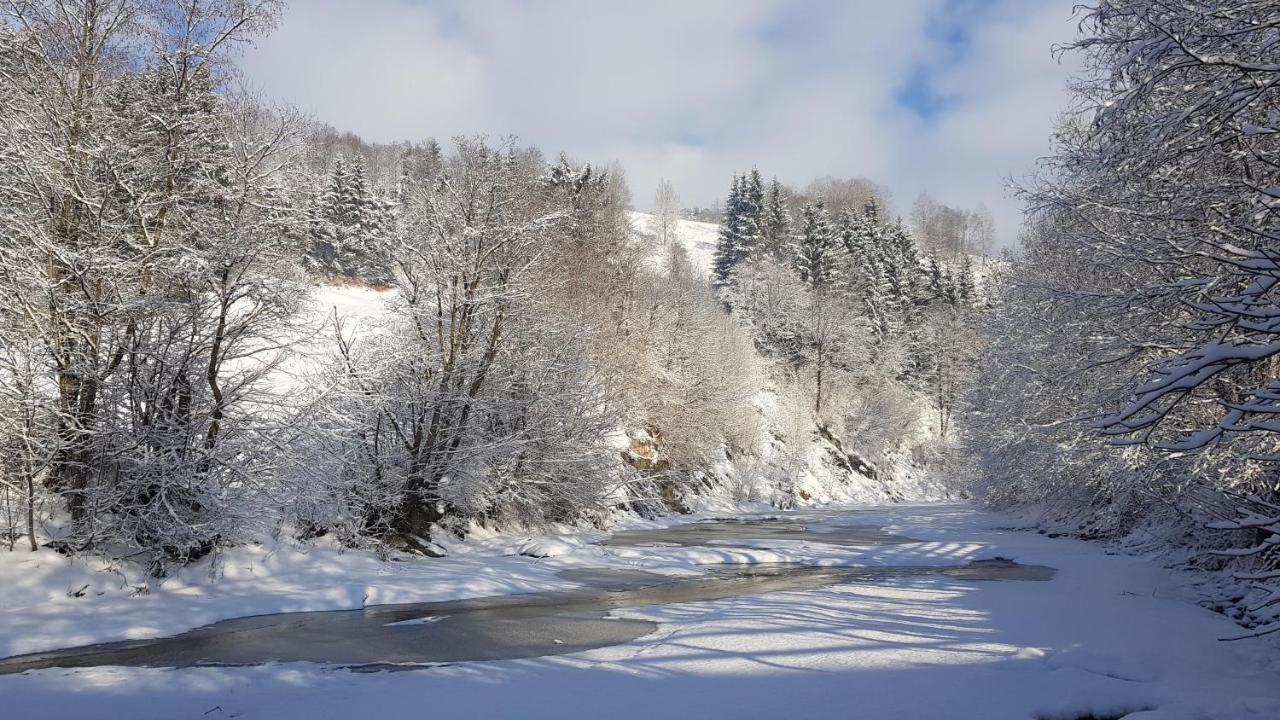 Gallery Of Mountains Holiday Home Yasinya Buitenkant foto